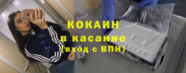 индика Протвино