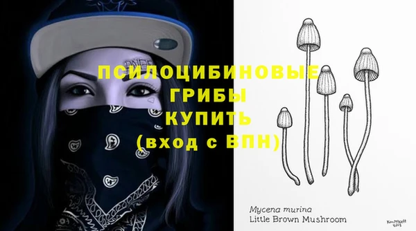 альфа пвп Верхний Тагил
