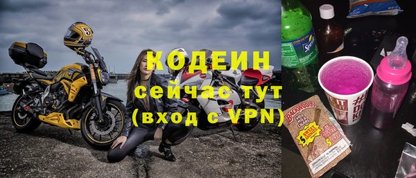 индика Богородск