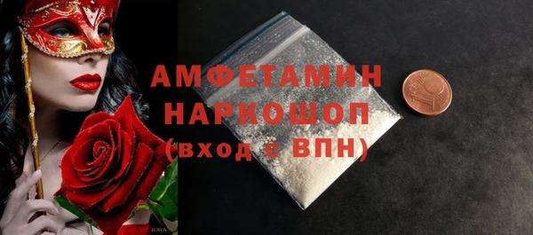 индика Богородск